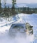 Geschneit: Aufgewirbelter Schnee sorgt für doppelte Tarnung.